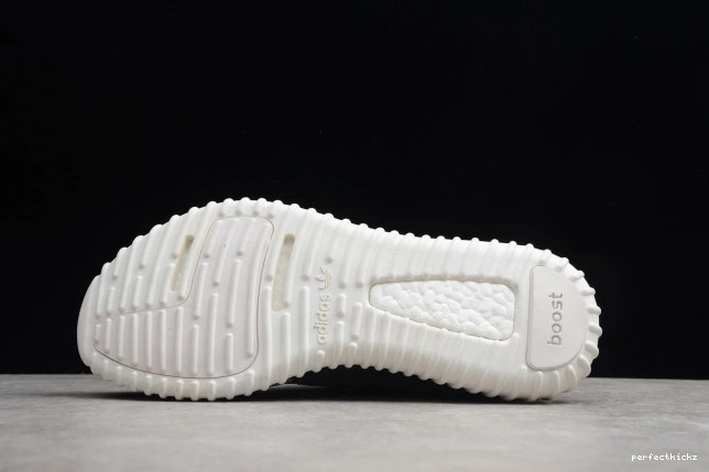 350 Adidas YEEZY Dove AQ4832 Turtle Boost 0709